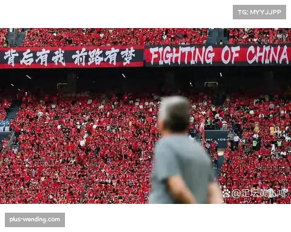 大连英博主场战胜武汉三镇 升班马赛季表现超出预期